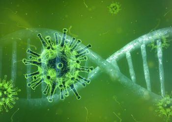 Secretaría de Salud solicita a personas que llegaron del extranjero a permanecer aisladas