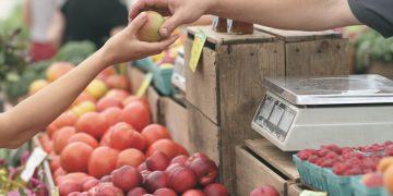 Conozca cuáles productos de la cadena alimentaria están a buen precio y se recomiendan comprar