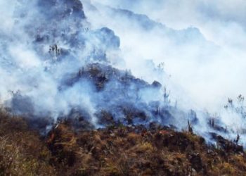 Nueve incendios fueron atendidos por Bomberos de Bucaramanga