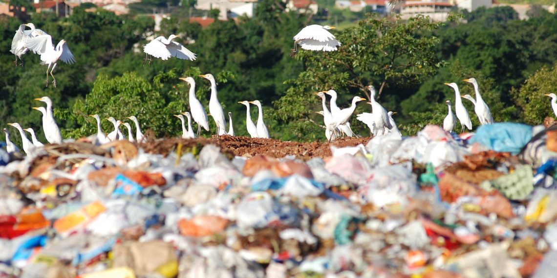 “Con pretexto de construir un parque, Veolia camufla la instalación de basurero en Girón”: Gustavo Prada, ambientalista