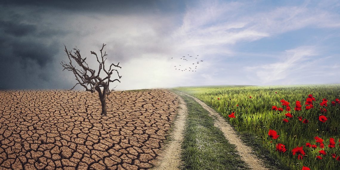 MinAmbiente y Procuraduría inician ciclo de talleres virtuales sobre cambio climático en los territorios
