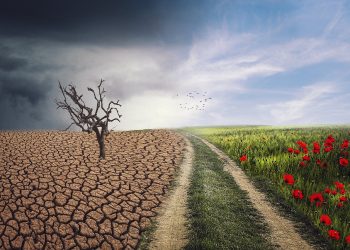 MinAmbiente y Procuraduría inician ciclo de talleres virtuales sobre cambio climático en los territorios
