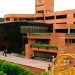 Las críticas de Óscar Jahir Hernández a la nueva directora de Tránsito