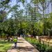 Se reabren al público principales parques de Bucaramanga