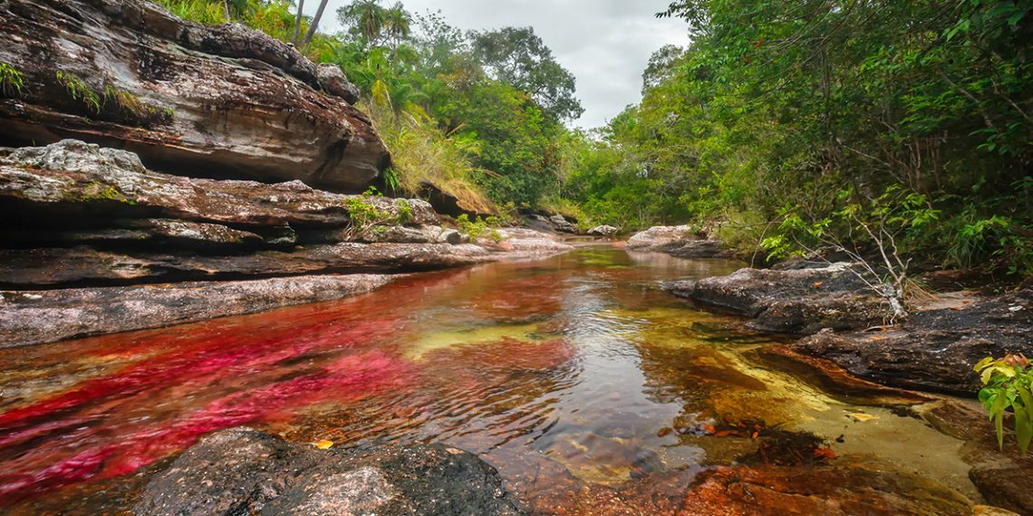Se realiza reapertura gradual de ocho parques naturales en Colombia