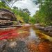 Se realiza reapertura gradual de ocho parques naturales en Colombia