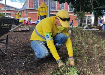 Sembrados 10.000 metros cuadrados de prado para embellecer parques y zonas verdes en la ciudad