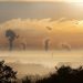 Meta de Colombia para el año 2030 será reducir en 51% emisiones de gases invernadero