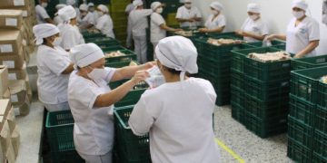 Desde hoy, en 111 sedes educativas oficiales se entregarán paquetes alimentarios a 33.789 estudiantes