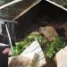 Construcción irregular en Las Villas causó deslizamiento, por fortuna sin pérdidas humanas