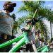 Bucaramanga registra 254 días, no consecutivos, sin homicidios