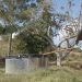 Con ocho mil litros Cosecha de Agua abastecerá a familias tabacaleras de Santander