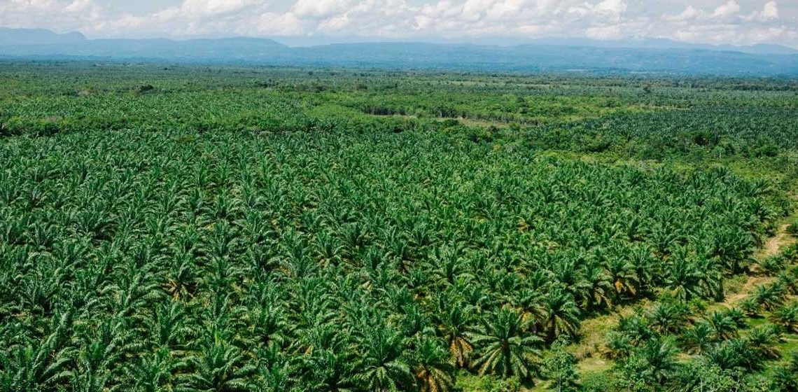 Ministros de Agricultura de Colombia, Perú, Ecuador y Bolivia firman declaración para fortalecer la integración regional en el agro