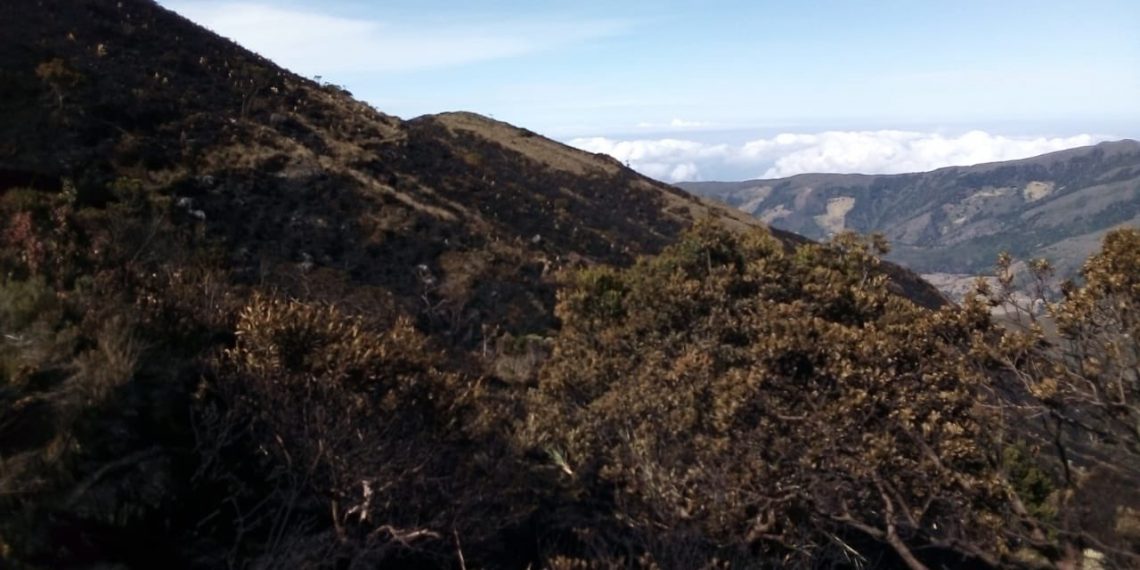 Liquidado incendio forestal en el páramo de Santurbán