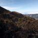 Liquidado incendio forestal en el páramo de Santurbán