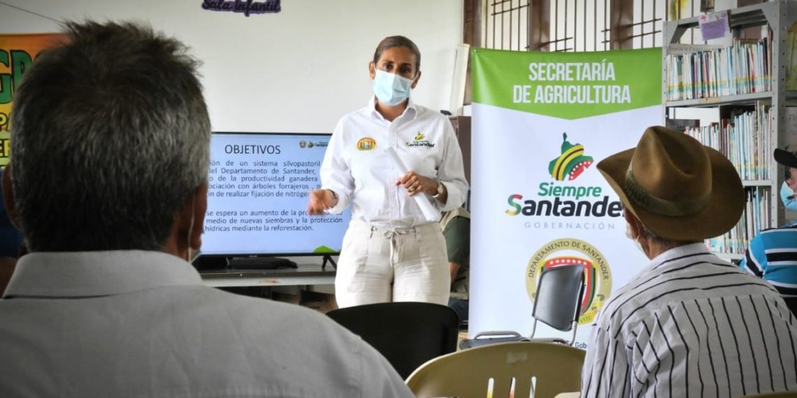 En siete municipios se reducirá el efecto invernadero con proyecto silvopastoril