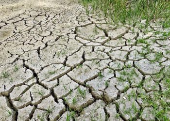 Estados Unidos expresa su interés de trabajar con Colombia en agenda sobre cambio climático