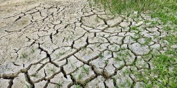 Estados Unidos expresa su interés de trabajar con Colombia en agenda sobre cambio climático