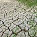 Estados Unidos expresa su interés de trabajar con Colombia en agenda sobre cambio climático
