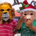 Conozca dónde puede donar juguetes y libros para los niños que viven en inquilinatos de Bucaramanga