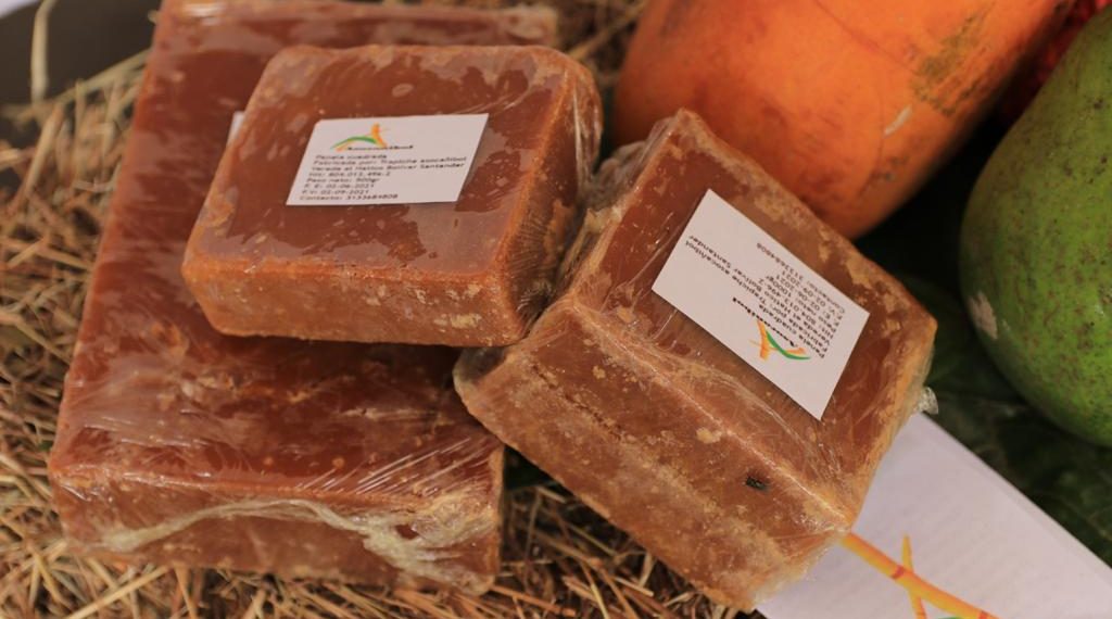 Compras Públicas Locales de Alimentos una estrategia para la inclusión de productores en el sector público
