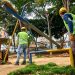 Se inició la transformación del Parque La Concordia