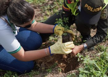Se destinaron más de dos mil especies de plantas para la Gran Sembratón Nacional
