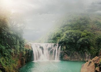 Reino Unido anuncia 300 millones de libras a Colombia para apoyar proyectos de reforestación y conservación de la Amazonía