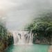 Reino Unido anuncia 300 millones de libras a Colombia para apoyar proyectos de reforestación y conservación de la Amazonía