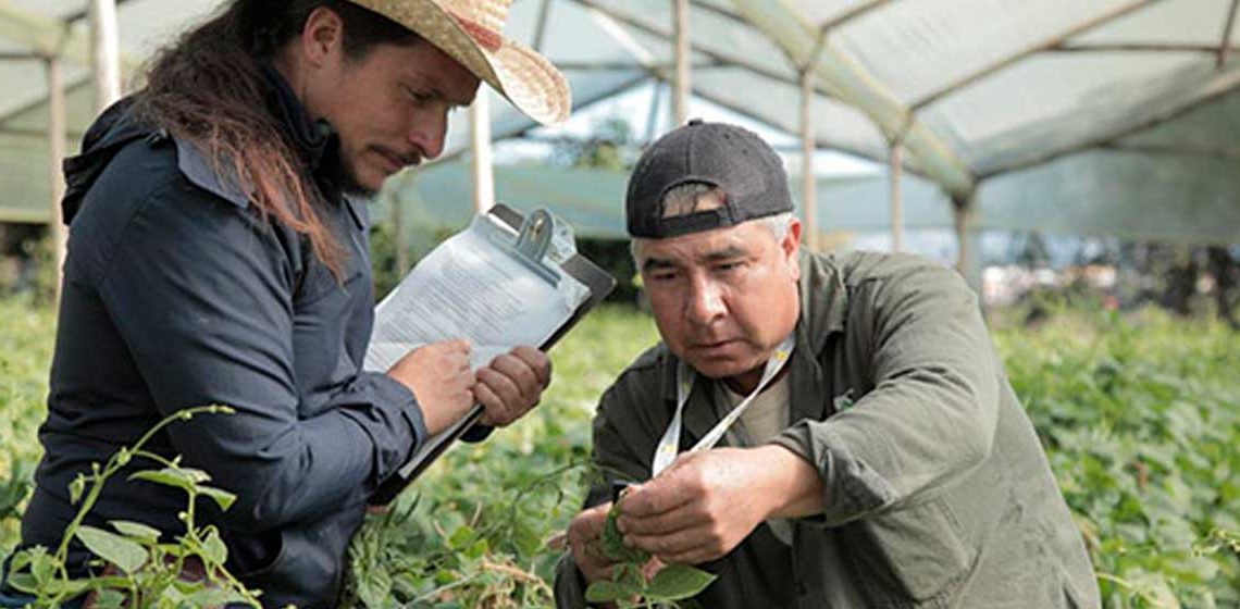Colombia referente en innovación y emprendimiento en América Latina, concluye informe ‘Colombia Tech Report 2021’
