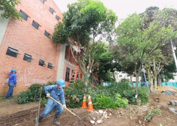 En estos parques se adelantan jornadas de poda durante la semana