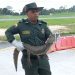 La babilla que irrumpió en el aeropuerto Palonegro