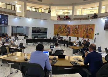 Metrolínea, muchos diagnósticos y pocas soluciones
