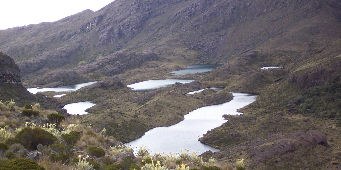 Consejo de Estado ordena estudiar demandas en defensa del páramo de Santurbán