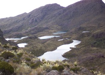 Consejo de Estado ordena estudiar demandas en defensa del páramo de Santurbán