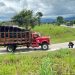 Ejército frustró acción terrorista contra base militar en Aguachica