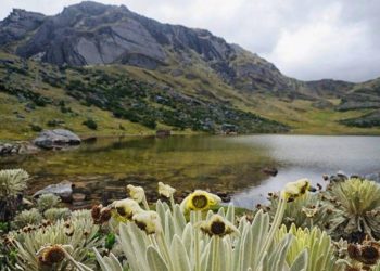 Denuncian presiones de Duque y la Procuraduría para delimitar el páramo de Santurbán