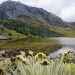 Denuncian presiones de Duque y la Procuraduría para delimitar el páramo de Santurbán