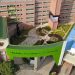 Polémica en El Socorro por sede para las UTS