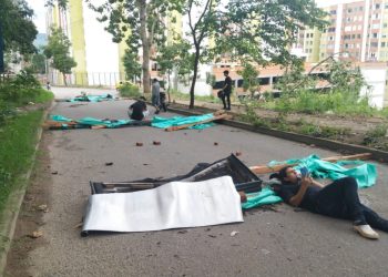 Marval dice que talará 42 árboles para construir 8 torres de vivienda en Piedecuesta