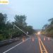 Cierre en Ruta del Cacao por caída de árboles y postes de energía eléctrica