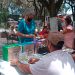 19 JAC serían sancionadas por no presentar reporte electoral