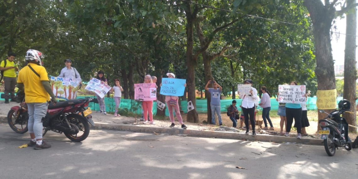 Masiva tala de árboles genera rechazo en Piedecuesta