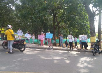 Masiva tala de árboles genera rechazo en Piedecuesta