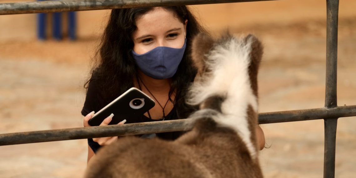 Este viernes inicia la Feria Ganadera en Cenfer