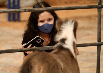 Este viernes inicia la Feria Ganadera en Cenfer