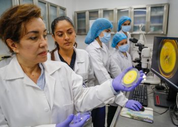 Descubren en Santander nuevo hongo que absorbe el cadmio, un metal tóxico