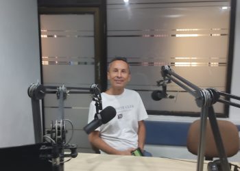 El árbol búcaro se debe promover en los 400 años de Bucaramanga