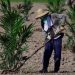 En riesgo el trabajo de cinco mil personas de la Hacienda La Gloria