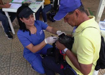 Esta es su oportunidad para adoptar un animal